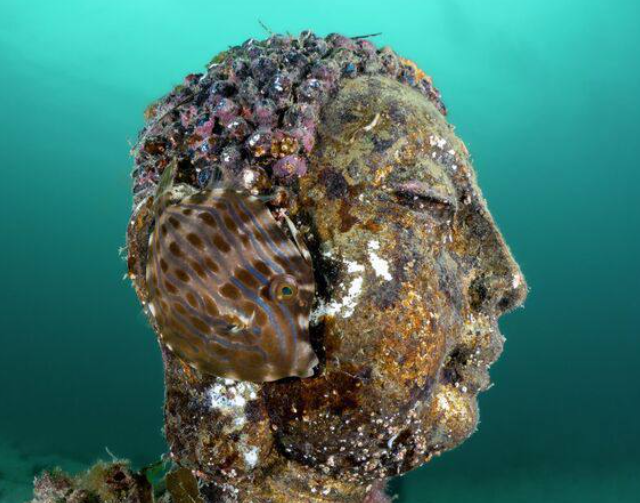 Конкурс фотографий океана