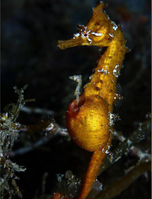 Конкурс фотографий океана