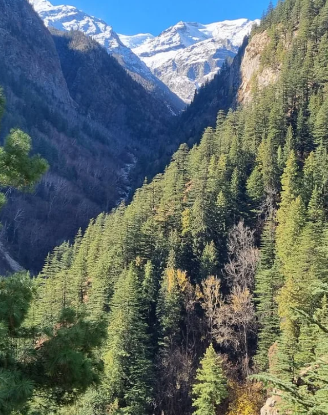 Река Ганг, Индия