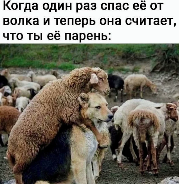 мемы про парней