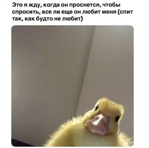 мемы про девушек