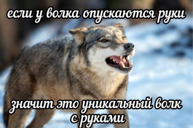 Смешные мемы - 04.02.2026