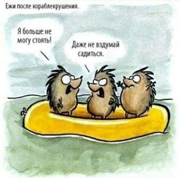 Смешные мемы - 04.02.2026