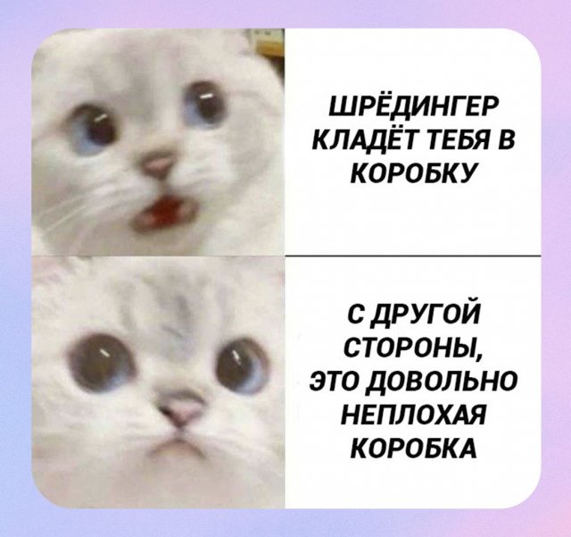 Смешные мемы - 04.02.2026