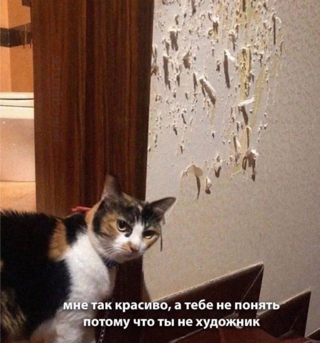 Смешные картинки - 04.02.2026