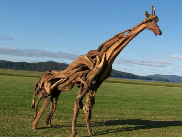 Подборка картинок. Вечерний выпуск - 04.02.2026