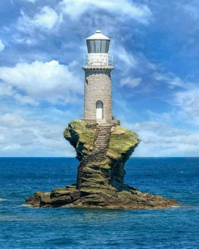 Подборка картинок. Вечерний выпуск - 04.02.2026