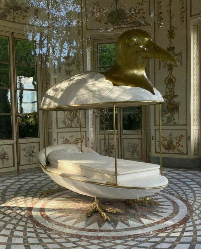 Подборка картинок. Вечерний выпуск - 04.02.2026