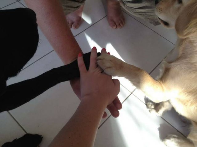 Подборка картинок. Вечерний выпуск - 04.02.2026