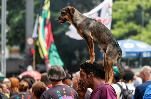 Подборка картинок. Вечерний выпуск - 04.02.2026