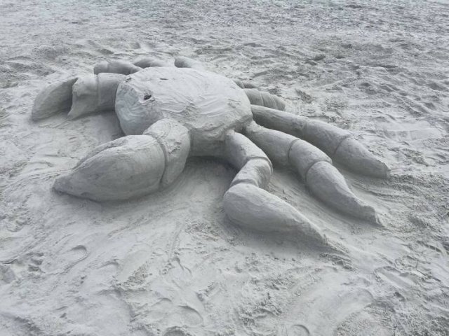 Подборка картинок. Вечерний выпуск - 04.02.2026