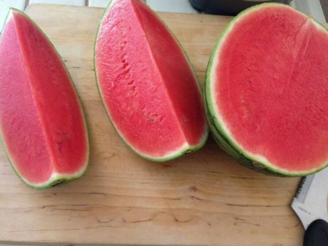 Подборка картинок. Вечерний выпуск - 04.02.2026