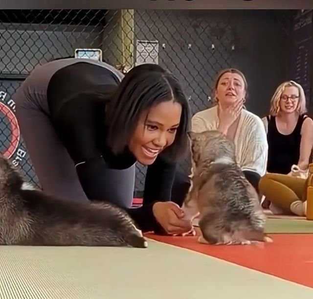 Йога со щенками