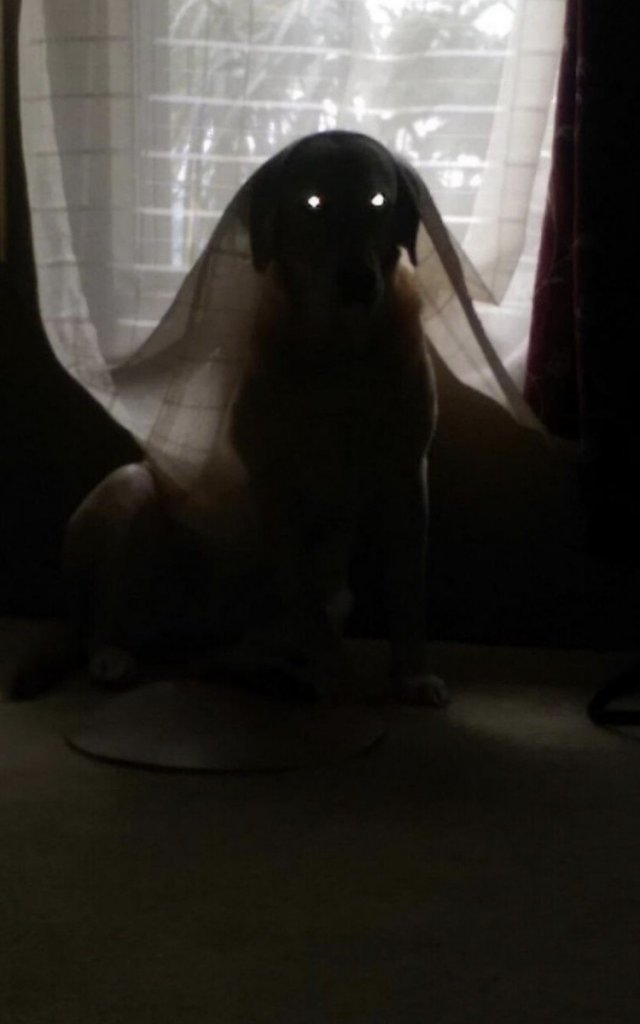 Подборка жутких фото