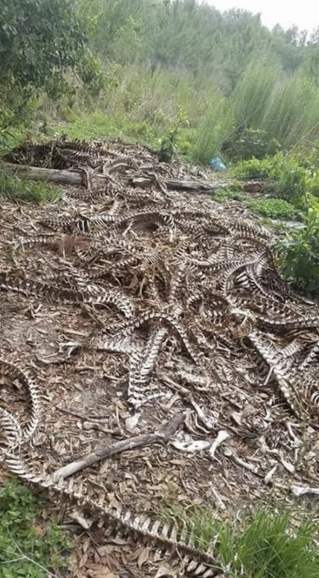 Подборка жутких фото