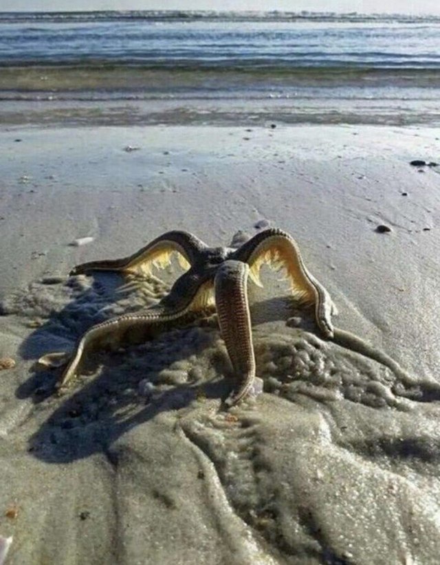 Подборка жутких фото