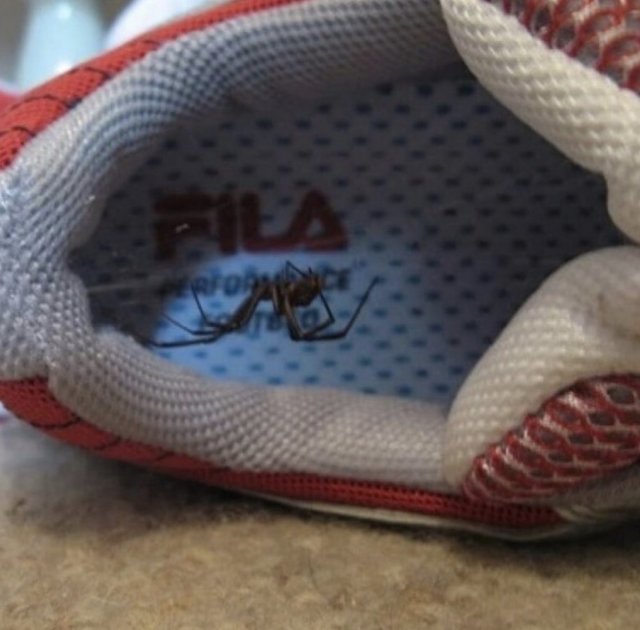 Подборка жутких фото