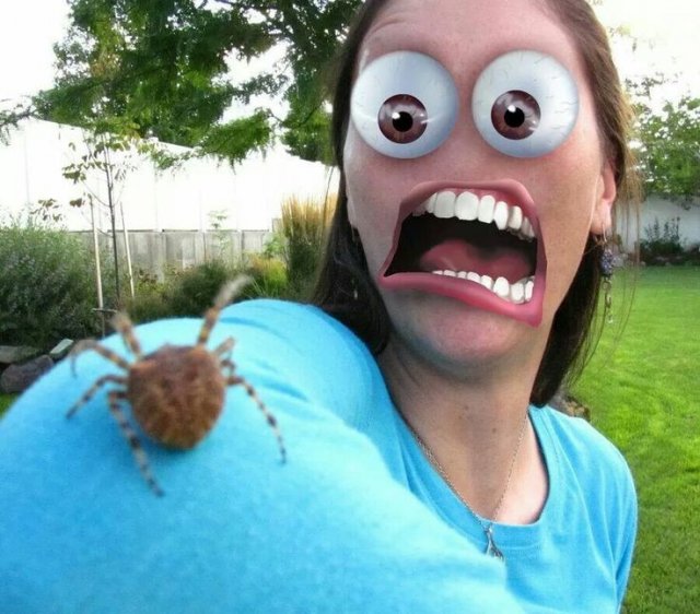 Подборка жутких фото