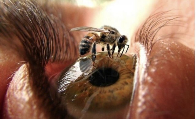 Подборка жутких фото