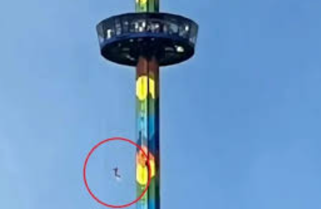 Неожиданные альпинисты