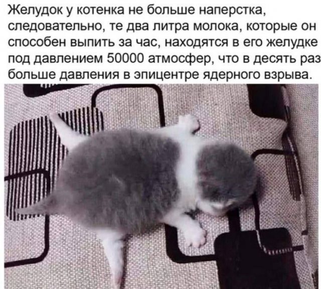 Смешные мемы - 05.02.2026