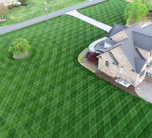 фотографии для перфекционистов