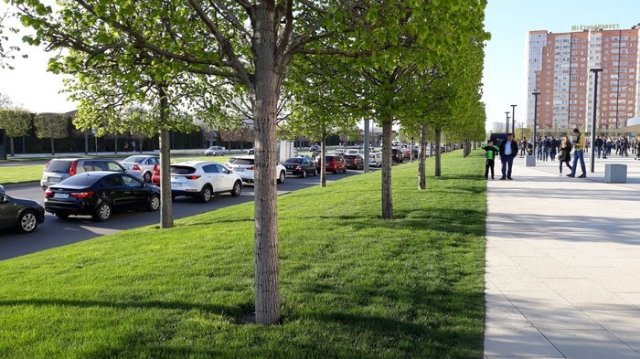 фотографии для перфекционистов