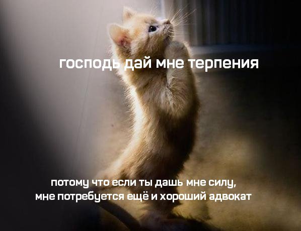 Смешные мемы - 06.02.2026