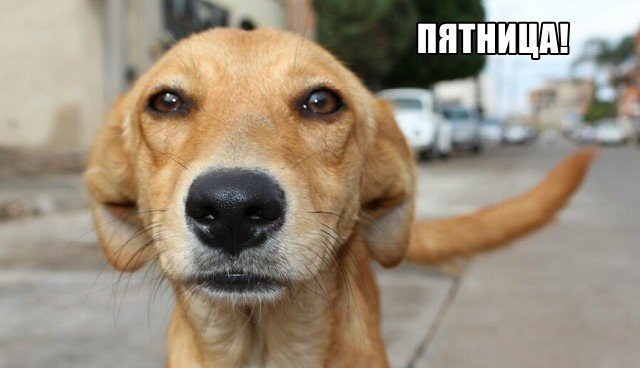 Трынделка - 06.02.2026