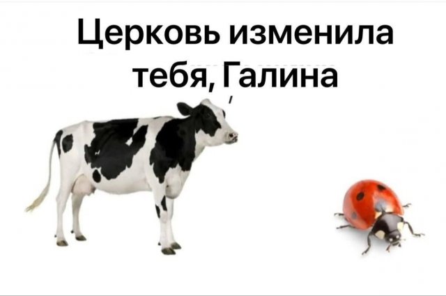 Смешные картинки - 06.02.2026