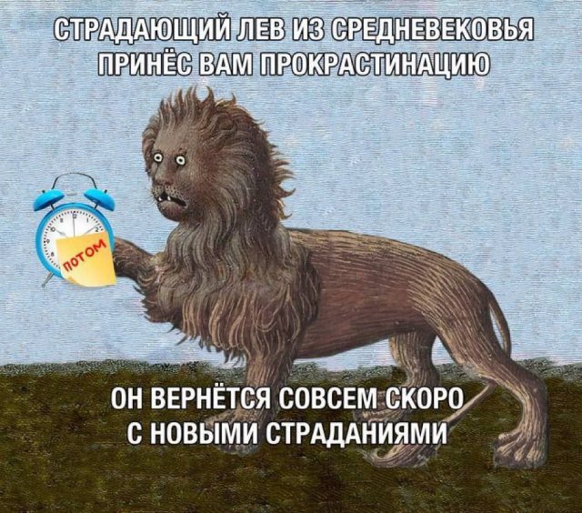 Лучшие шутки и мемы из Сети - 06.02.2026