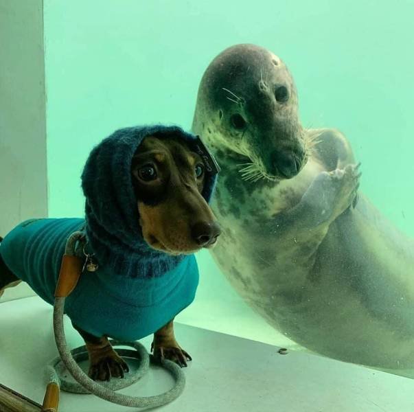 Подборка картинок. Вечерний выпуск -  06.02.2026