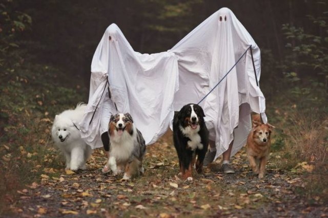 Подборка картинок. Вечерний выпуск -  06.02.2026