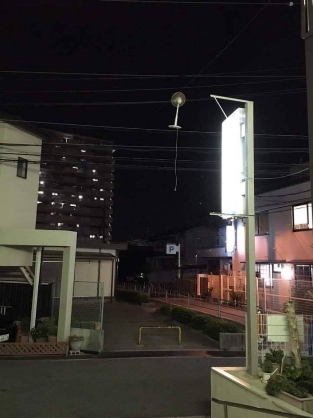 Подборка картинок. Вечерний выпуск -  06.02.2026