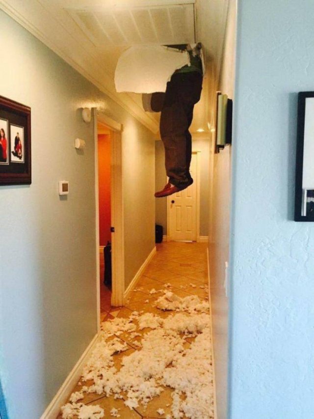 Подборка картинок. Вечерний выпуск -  06.02.2026