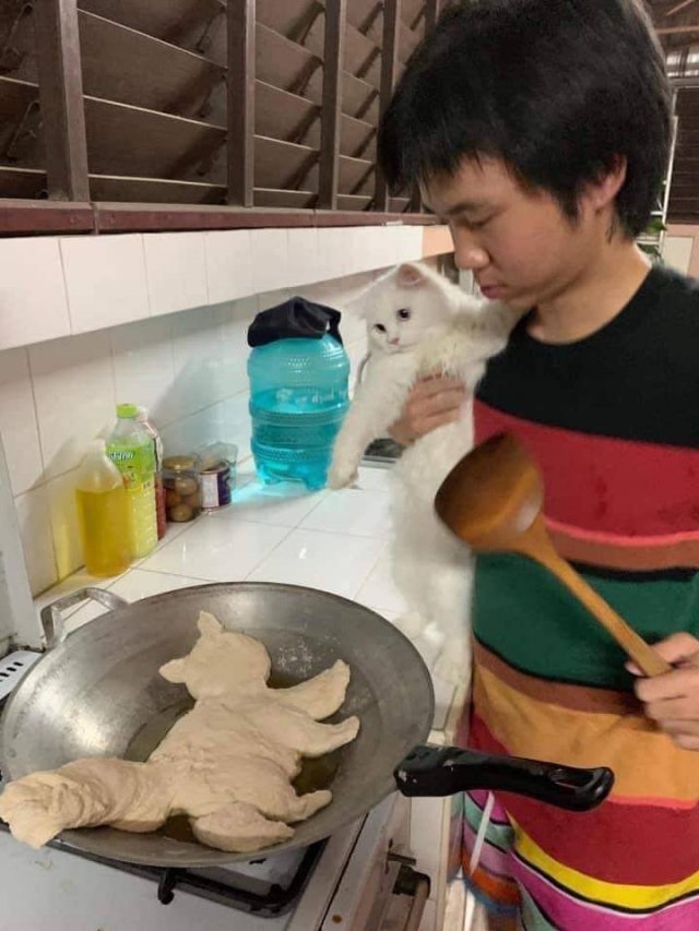 Подборка картинок. Вечерний выпуск -  06.02.2026