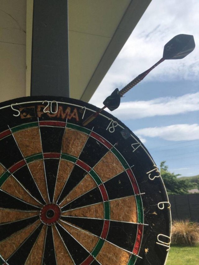 Подборка картинок. Вечерний выпуск -  06.02.2026