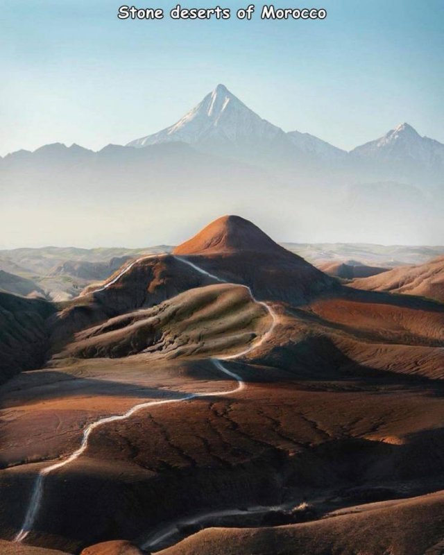 Подборка картинок. Вечерний выпуск -  06.02.2026