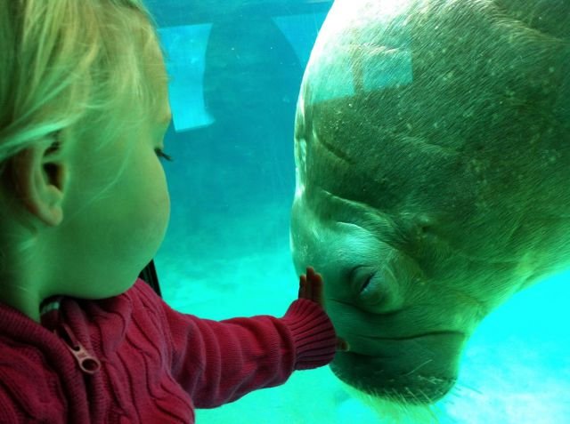 Подборка картинок. Вечерний выпуск -  06.02.2026