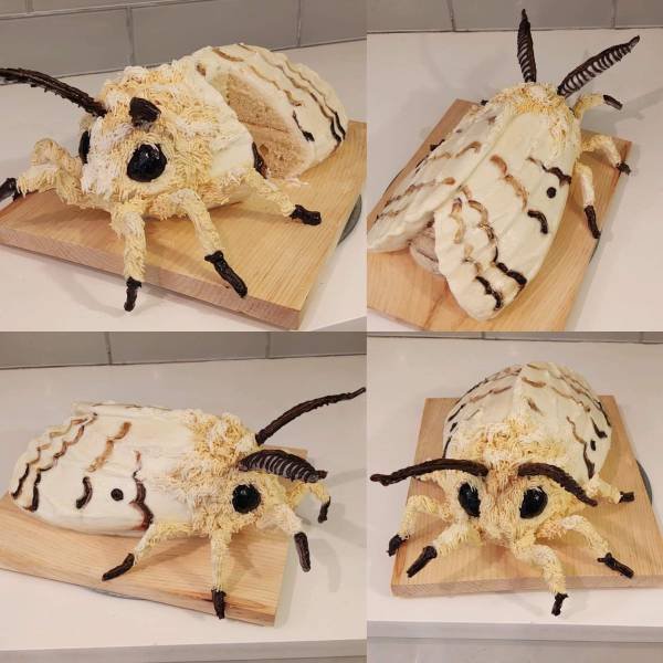 Подборка картинок. Вечерний выпуск -  06.02.2026