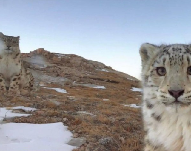 Фотографии из леса