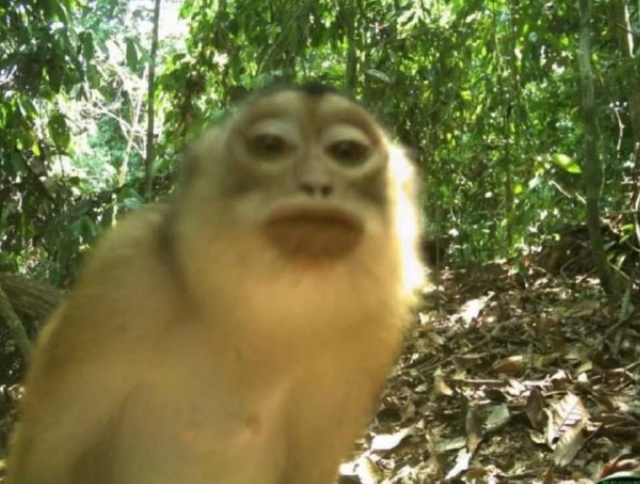 Фотографии из леса