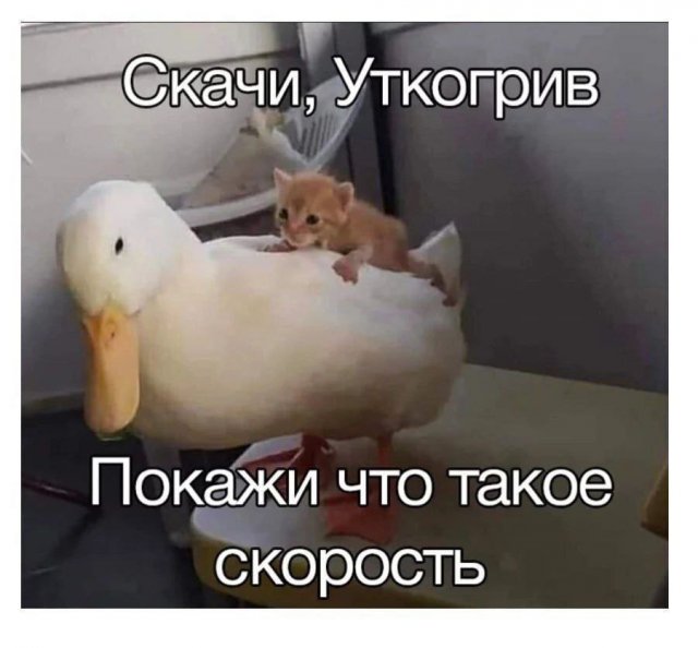 Смешные мемы - 09.02.2026