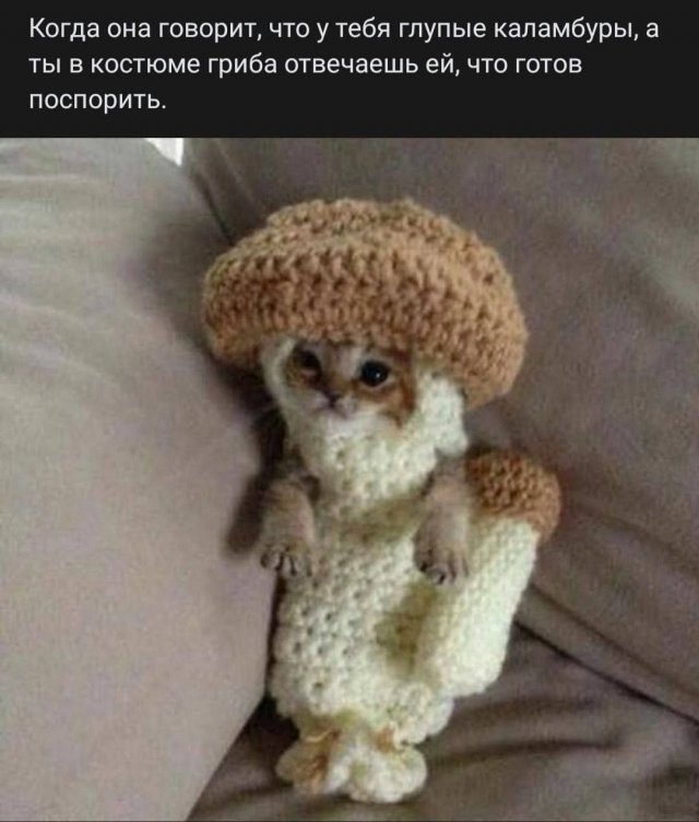 Смешные мемы - 09.02.2026