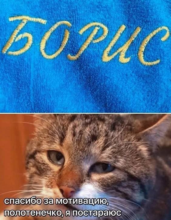 Смешные мемы - 09.02.2026