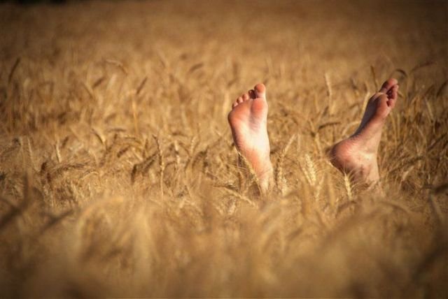 Подборка картинок. Вечерний выпуск - 09.02.2026