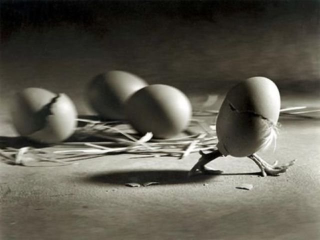 Подборка картинок. Вечерний выпуск - 09.02.2026