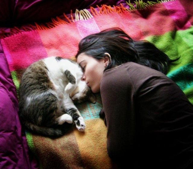 Подборка картинок. Вечерний выпуск - 09.02.2026