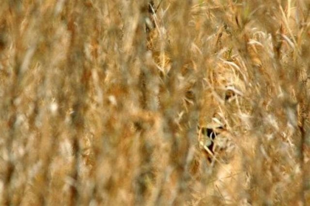 Подборка картинок. Вечерний выпуск - 09.02.2026