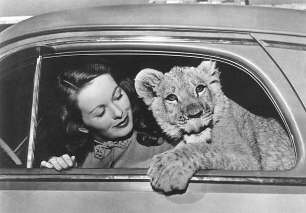 Подборка картинок. Вечерний выпуск - 09.02.2026